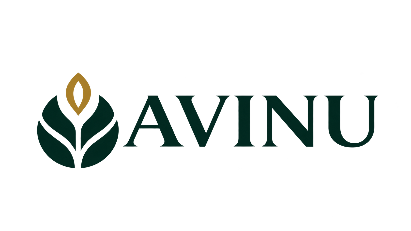 Avinu Foods